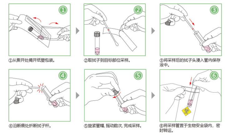 一次性采样拭子操作方法